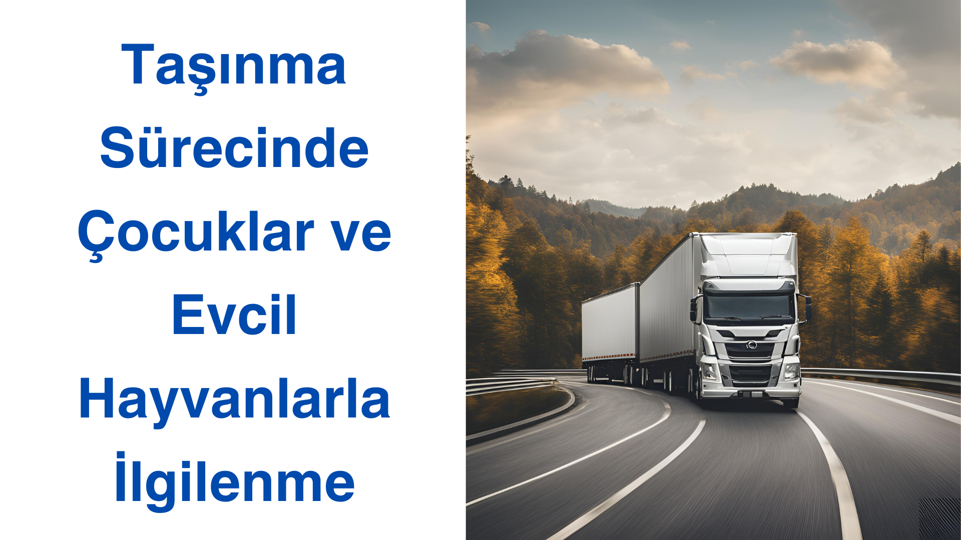 Taşınma Sürecinde Çocuklar ve Evcil Hayvanlarla İlgilenme