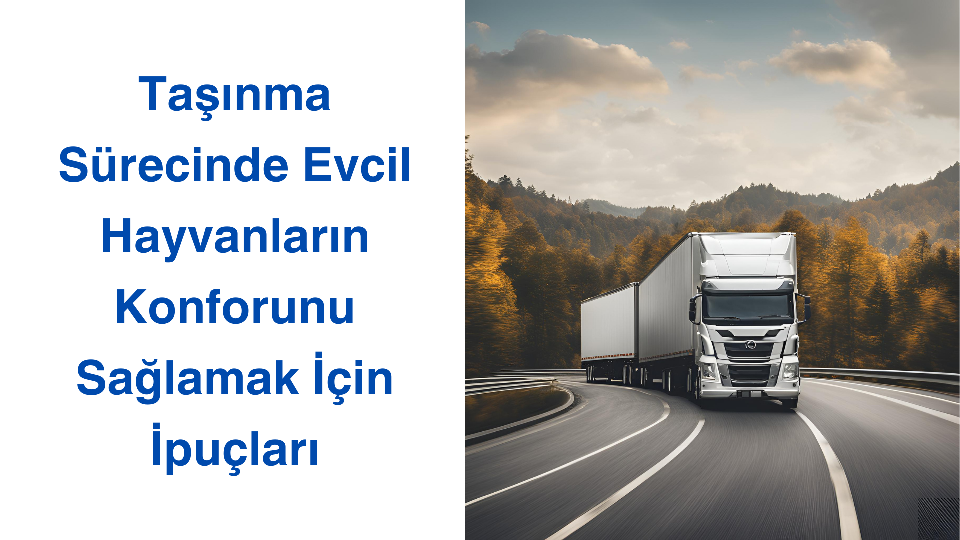 Taşınma Sürecinde Evcil Hayvanların Konforunu Sağlamak İçin İpuçları